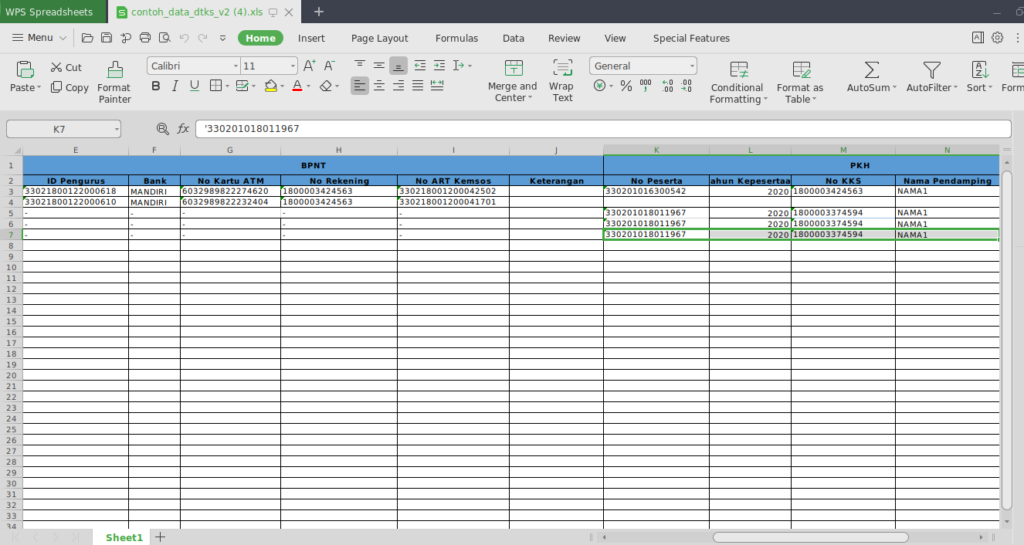 import data DTKS