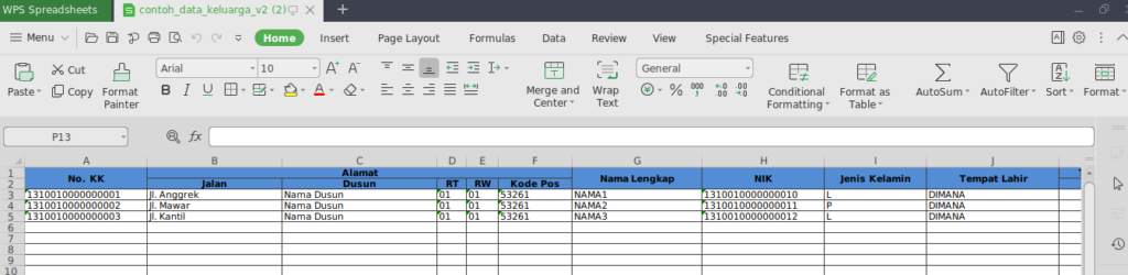 input data kependudukan