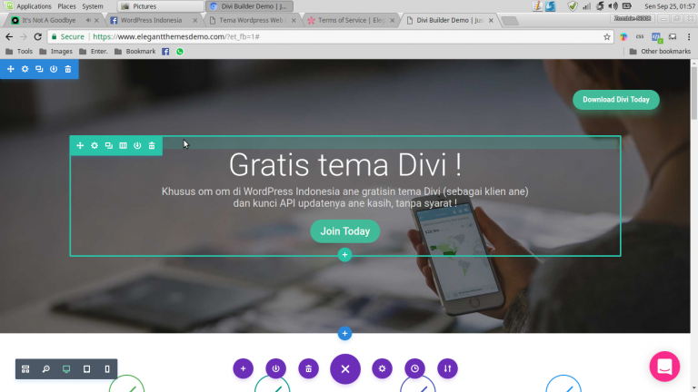 Tema Divi Gratis