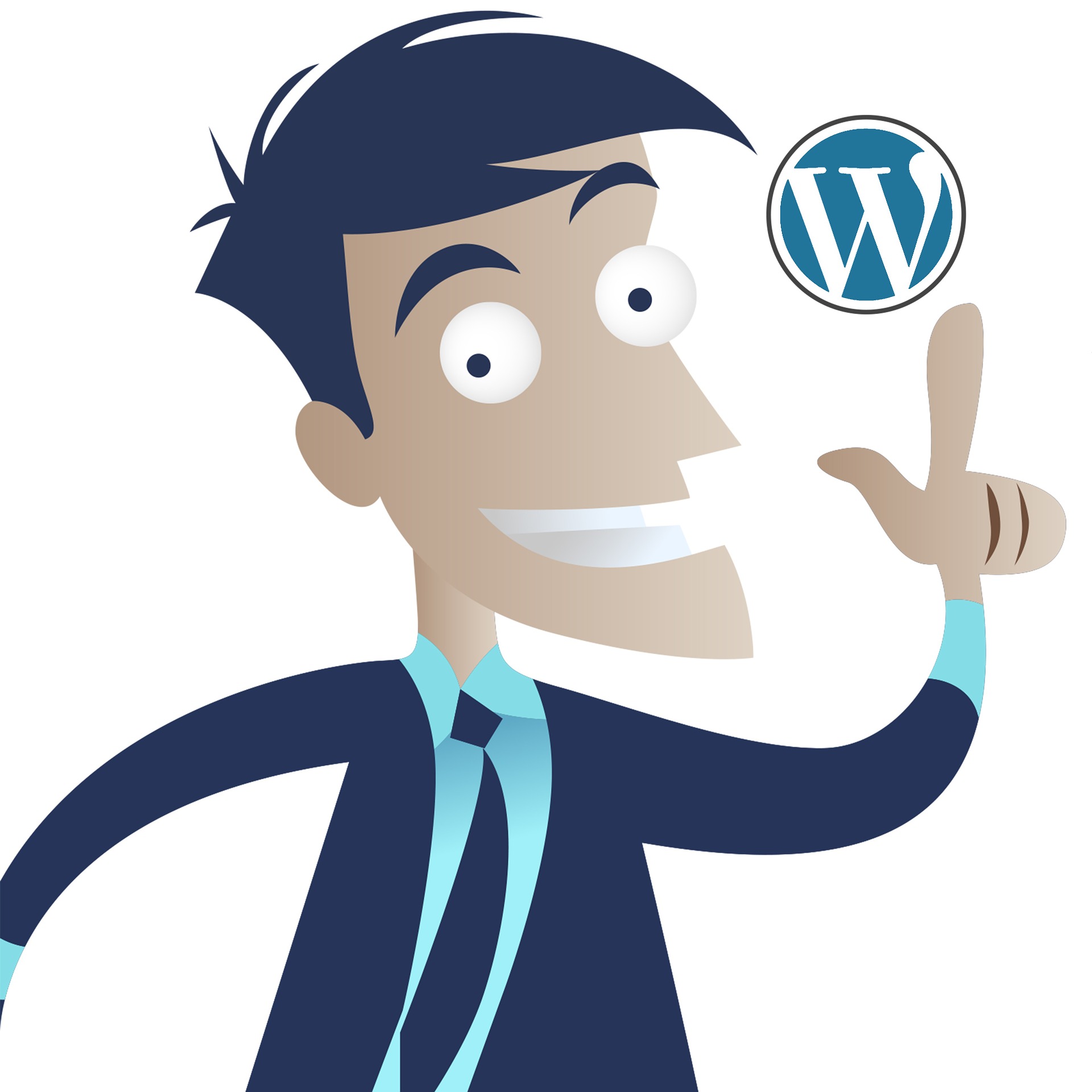 CMS WordPress